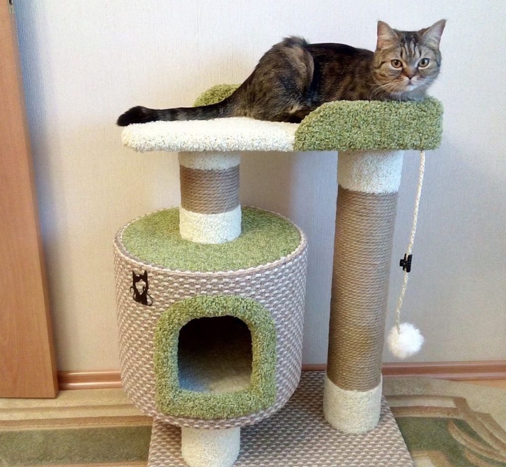 Как сделать домик для кошек с когтеточкой самостоятельно
