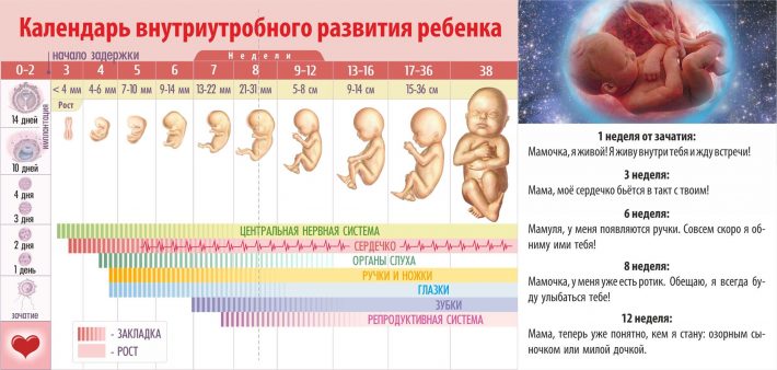 Как влияет возраст на зачатие