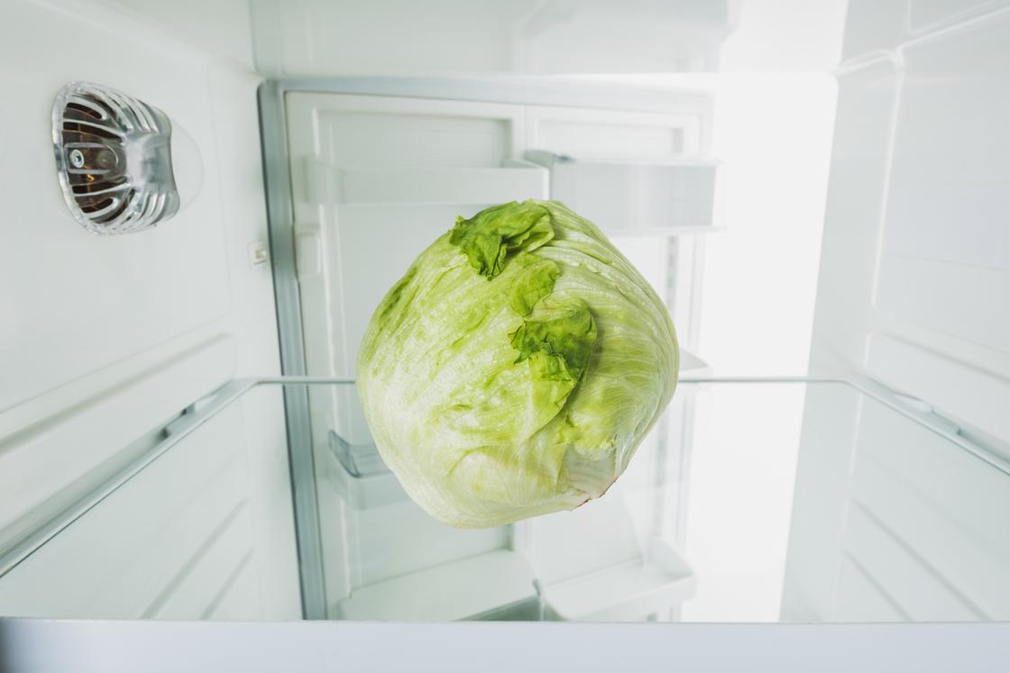 Хранение кочана капусты в холодильнике