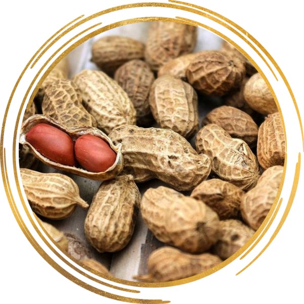 Потребление арахиса связано со снижением риска заболеваний