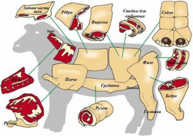 Разделка барана: правильный подход к разделке мяса