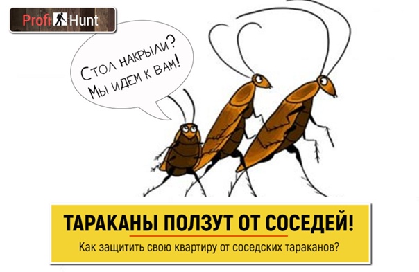 Тараканы ночью ползут по людям?