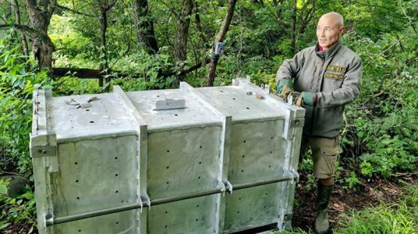 У отловленного в Приморье амурского тигра обнаружили огнестрельное ранение