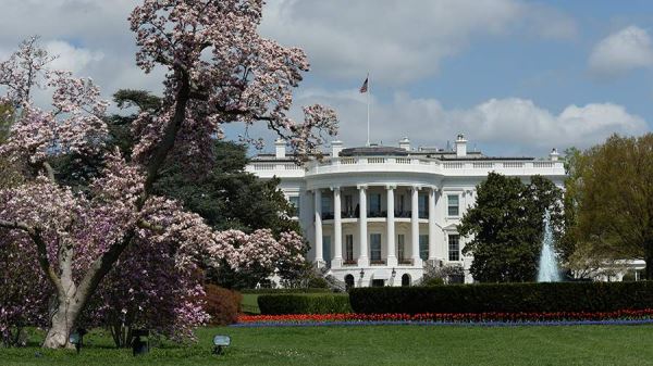 Американский политолог указал на способность Трампа наладить внешнюю политику США